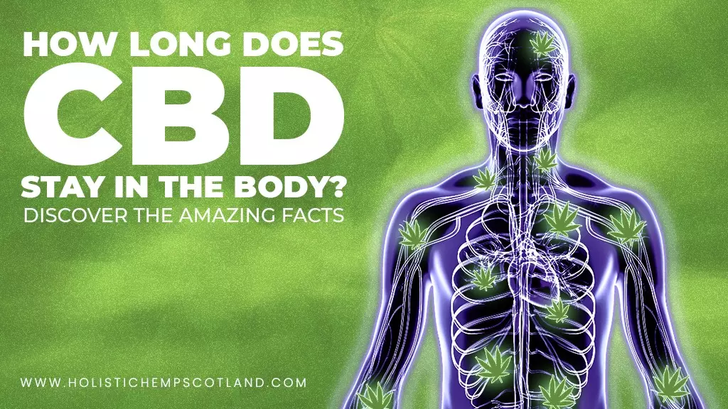 How Long Does CBD Stay In The Body? Discover The Amazing Facts