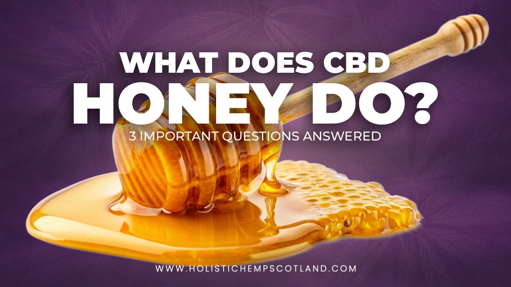 What Does CBD Honey Do? 3 Important Questions Answered